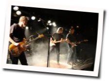 Like Dogs Chords by The Rainmakers