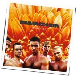 Das Alte Leid Tab by Rammstein