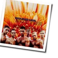 Der Meister (Ver2) Tab by Rammstein
