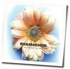 Du Riechst So Gut (Ver2) Tab by Rammstein