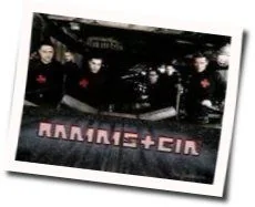 Wilder Wein Bass Tab by Rammstein
