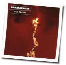 Asche Zu Asche Bass tabs by Rammstein