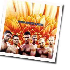 Du Riechst So Gut  Tabs by Rammstein