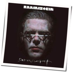 Kuss Mich Fellfrosch Bass tabs by Rammstein