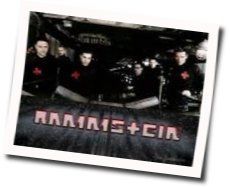Wilder Wein Bass tabs by Rammstein