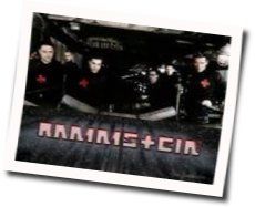 Wilder Wein by Rammstein