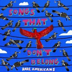 Fools Gold by Rare Americans