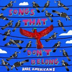 Fools Gold Chords by Rare Americans