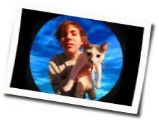 Fake I'd Tab by Rat Boy