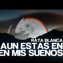 Aún Estás En Mi Sueños Chords by Rata Blanca