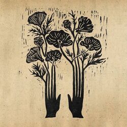 Flowers Chords by Nathaniel Rateliff