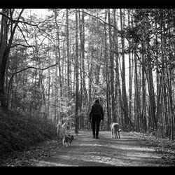 Time Zone by Amy Ray