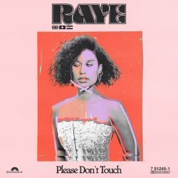 Please Don't Touch by RAYE
