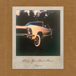 Raynes chords for Drive you back home