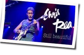 Still Beautiful Bass tabs by Chris Rea