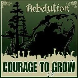 Feeling Alright Bass Tab by Rebelution