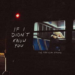 If I Didn't Know You Chords by The Red Clay Strays