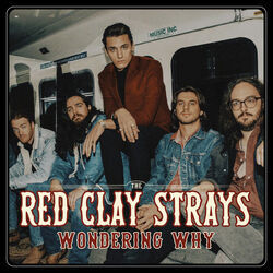 Wondering Why Bass Tab by The Red Clay Strays