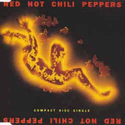 Breaking The Girl Bass Tab by Red Hot Chili Peppers