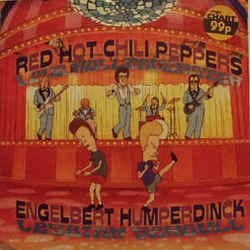 Love Rollercoaster  by Red Hot Chili Peppers
