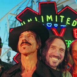 Not The One Bass Tab by Red Hot Chili Peppers