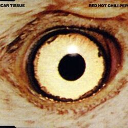 Scar Tissue Tab by Red Hot Chili Peppers