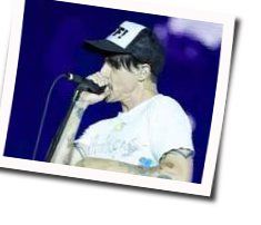 The Hunter Bass Tab by Red Hot Chili Peppers