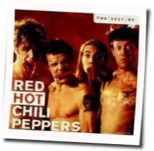 Warm Tape by Red Hot Chili Peppers