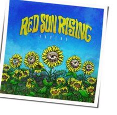 Veins Chords by Red Sun Rising