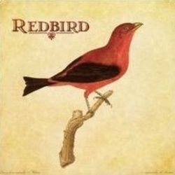 You Are The Everything Chords by Redbird