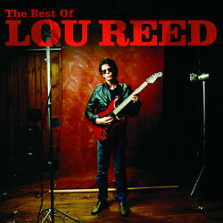 Shooting Star by Lou Reed