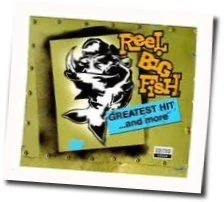 One Hit Wonderful Tab by Reel Big Fish