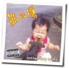 Your Girlfriend Sucks Tab by Reel Big Fish