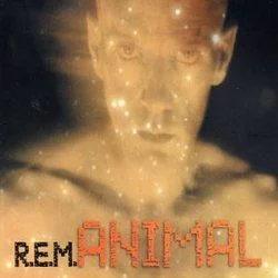 Animal Tab by R.E.M.