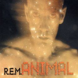 Animal by R.E.M.