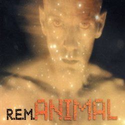 Animal Tabs by R.E.M.