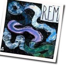 Little America  by R.E.M.