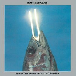 Roll With The Changes by REO Speedwagon