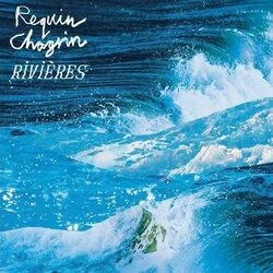 For You Chords by Requin Chagrin