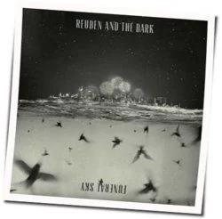 Can't See The Light Chords by Reuben And The Dark