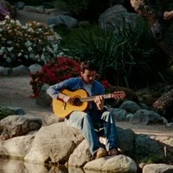 Jealousy Chords by Rex Orange County