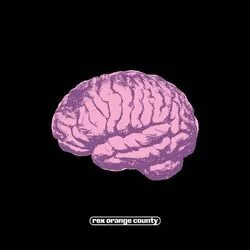 New Years Chords by Rex Orange County