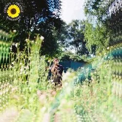Sunflower Acoustic Tab by Rex Orange County