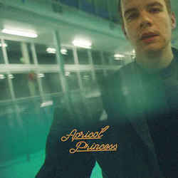 Apricot Princess Ukulele by Rex Orange County