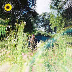 Rex Orange County chords for Sunflower
