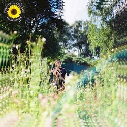 Sunflower Acoustic Tabs by Rex Orange County