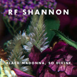 Don't Be Shy Chords by Rf Shannon