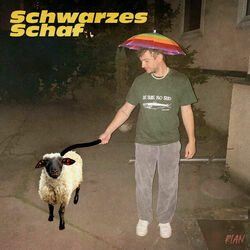 Schwarzes Schaf Chords by Rian