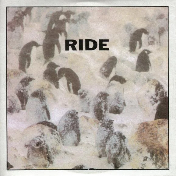 Taste Chords by Ride