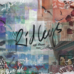 Euphoria Chords by The Ridleys